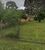 Terreno, 2 hectares - Foto 2