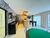 Kitnet-Studio, 20 m² - Foto 19
