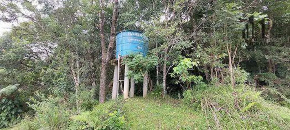 Chácara, 3 hectares - Foto 1