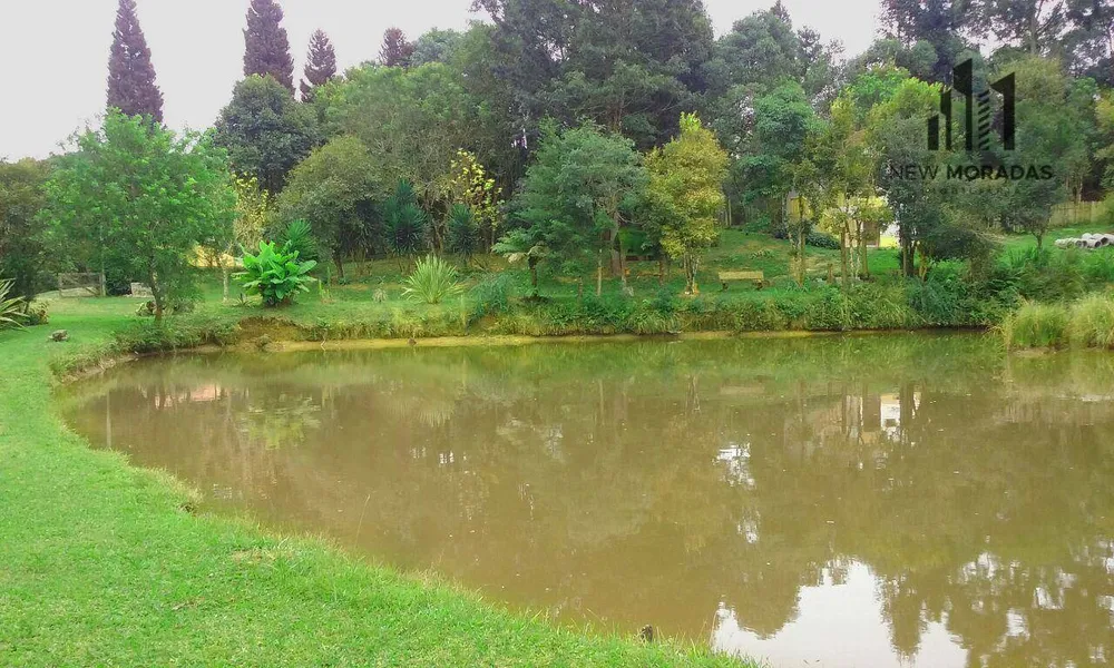 Chácara, 3 hectares - Foto 8