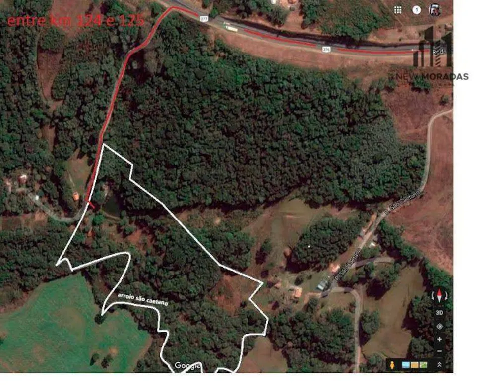 Chácara, 3 hectares - Foto 4