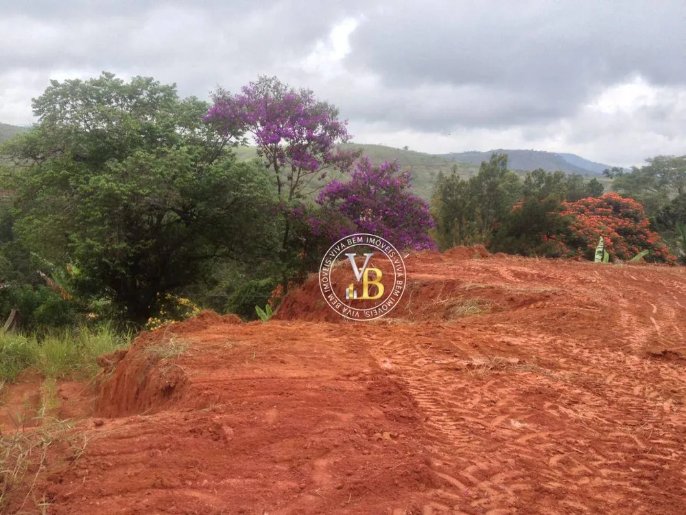 Terreno, 3800 m² - Foto 8