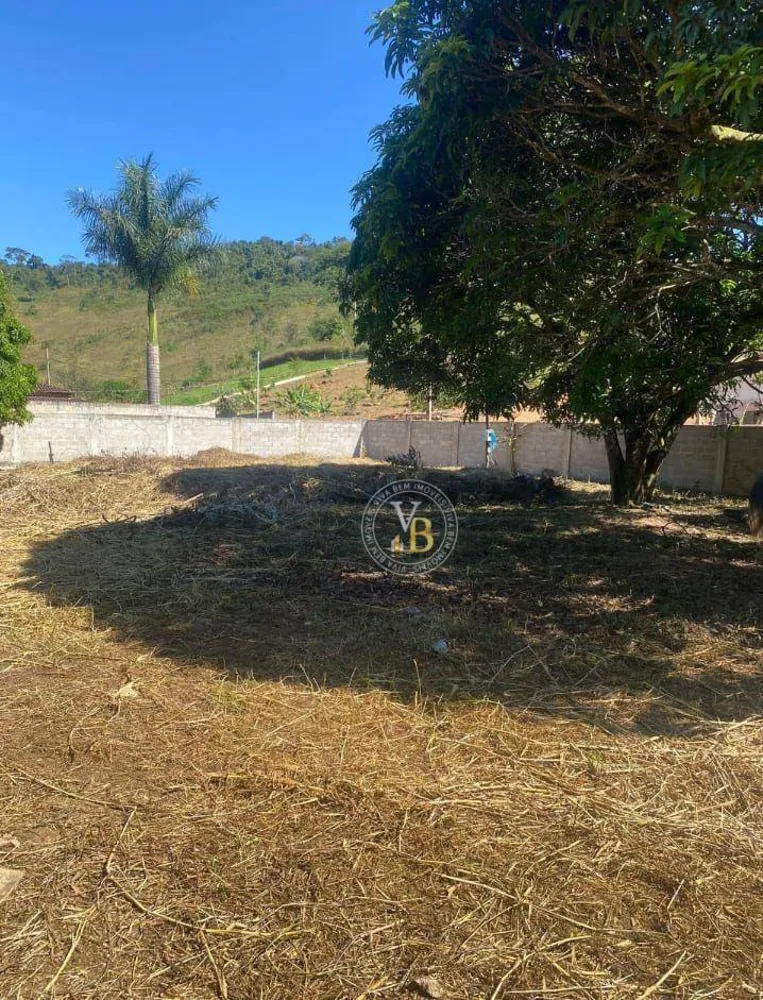 Chácara, 1000 m² - Foto 7