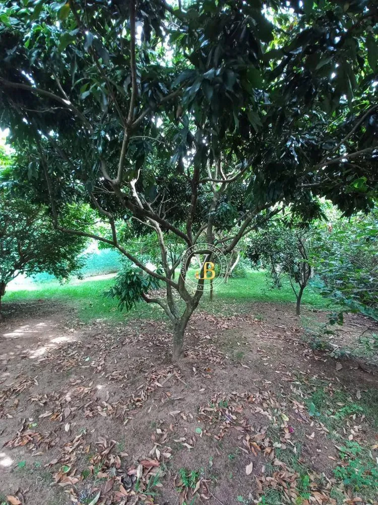 Casa, 3 quartos, 340 m² - Foto 15
