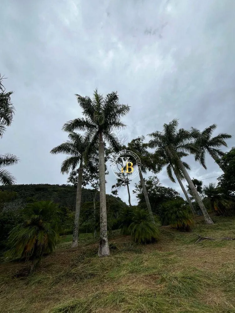 Chácara, 3 quartos, 10000 m² - Foto 9