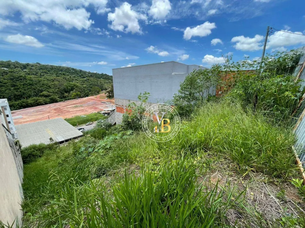 Terreno, 390 m² - Foto 6