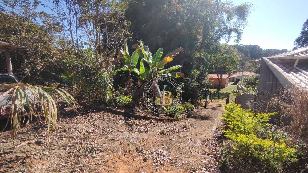Chácara, 1 quarto, 2205 m² - Foto 2