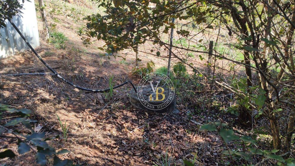 Chácara, 1 quarto, 2205 m² - Foto 3