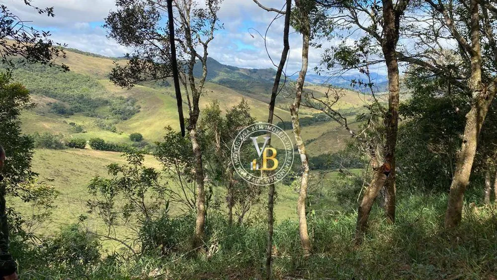 Terreno, 3 hectares - Foto 4