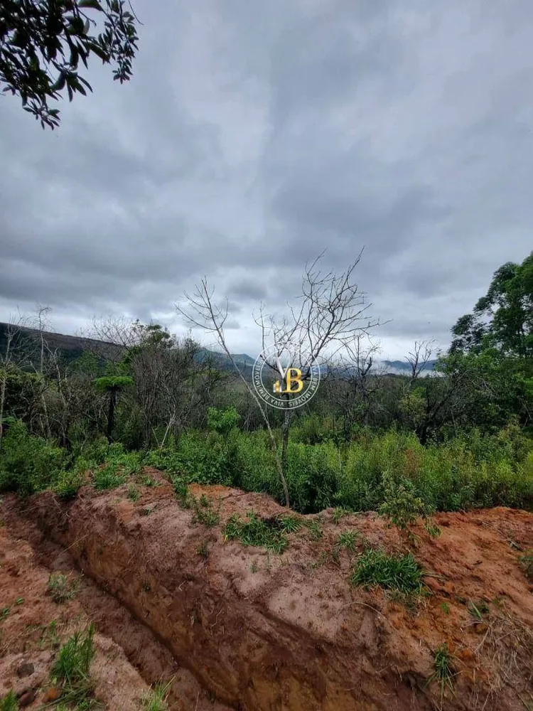 Terreno, 3 hectares - Foto 3