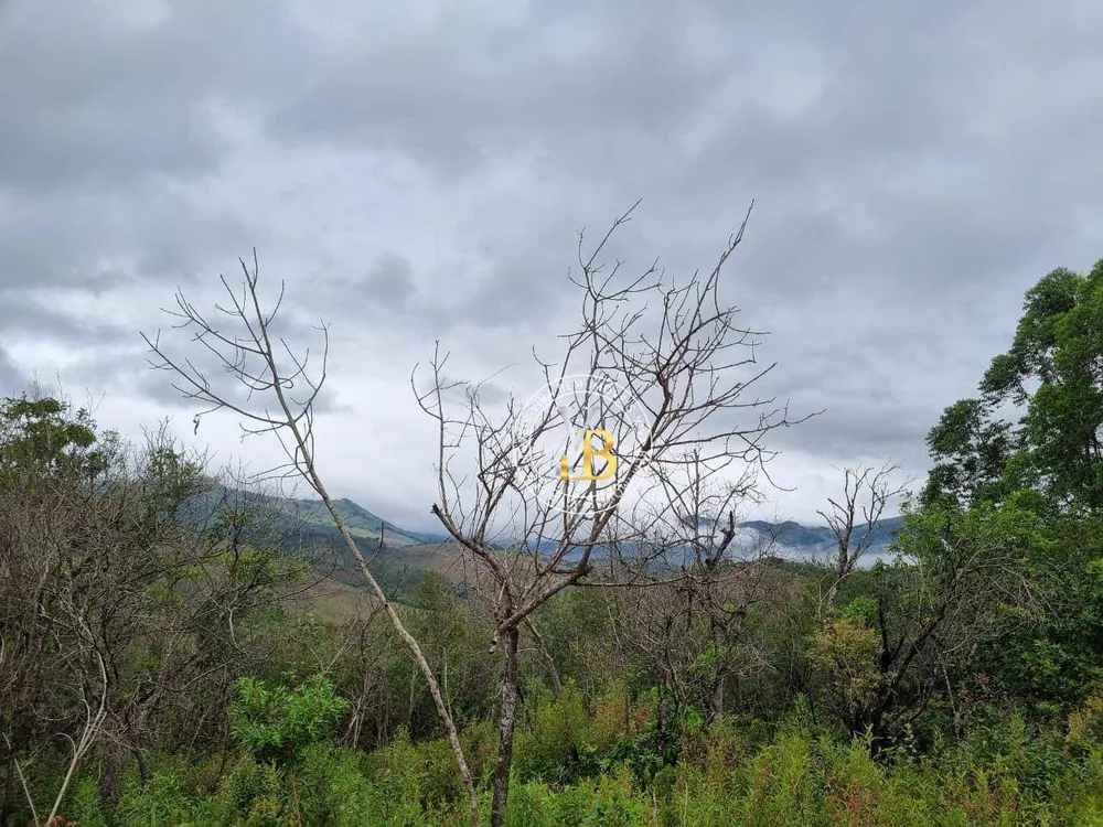Terreno, 3 hectares - Foto 6