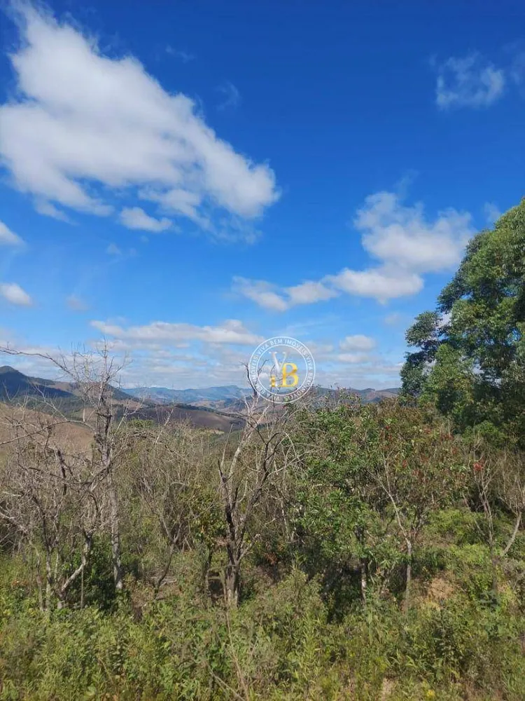 Terreno, 3 hectares - Foto 7