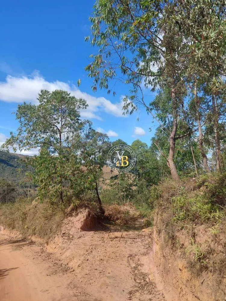 Terreno, 3 hectares - Foto 10