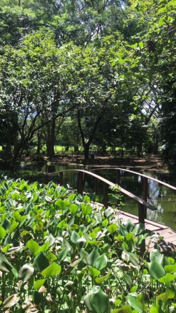 Terreno à venda, 245m² - Foto 1
