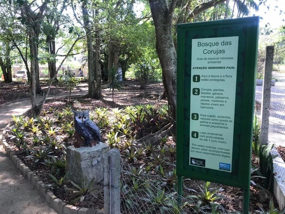 Terreno, 620 m² - Foto 10