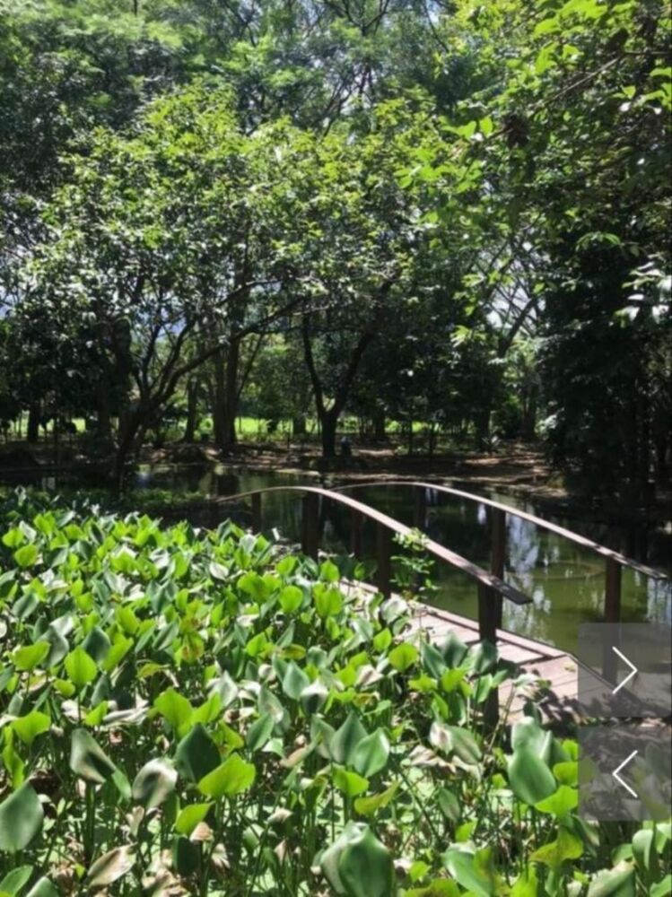 Terreno à venda, 395m² - Foto 4