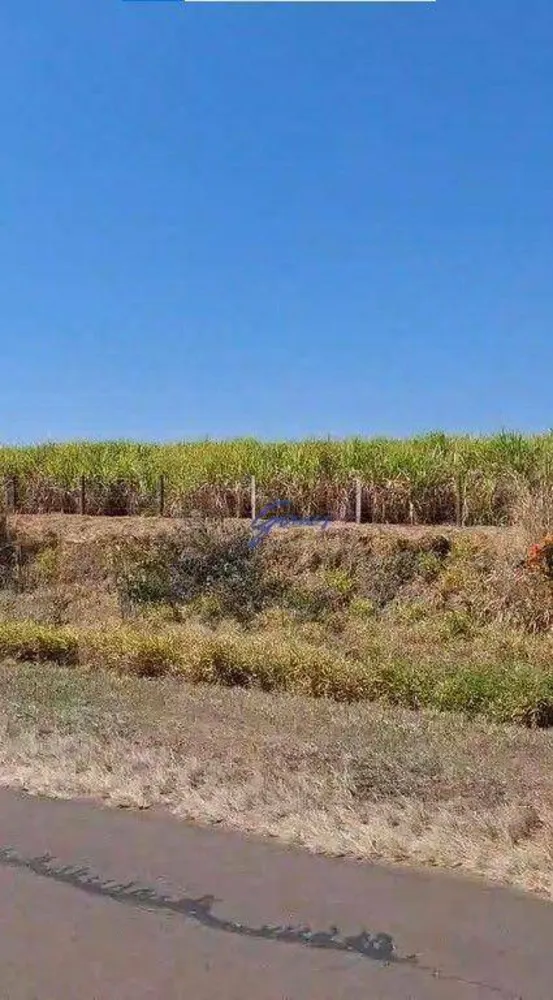 Fazenda, 1186 hectares - Foto 3