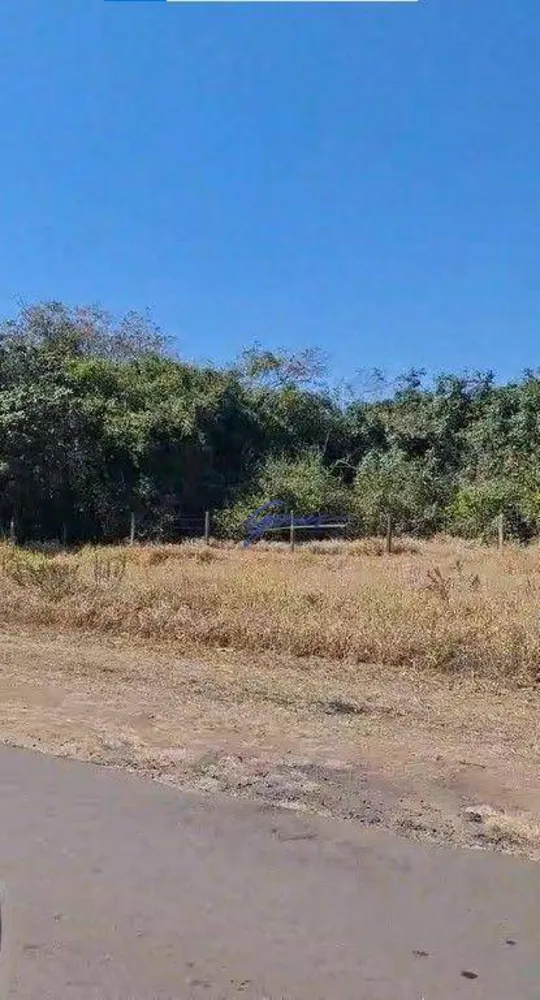 Fazenda, 1186 hectares - Foto 8
