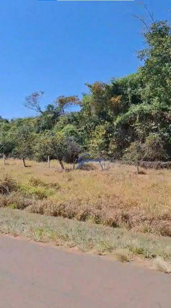 Fazenda, 1186 hectares - Foto 5