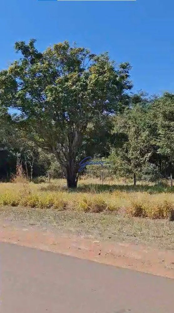 Fazenda, 1186 hectares - Foto 7