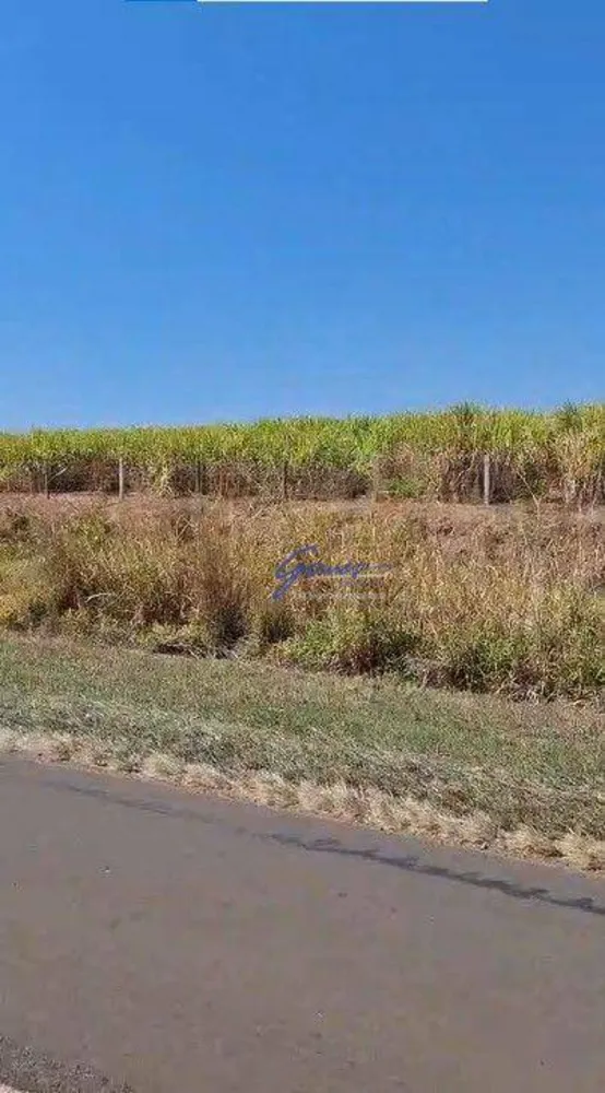 Fazenda, 1186 hectares - Foto 2