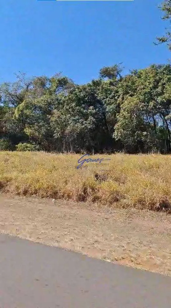 Fazenda, 1186 hectares - Foto 4