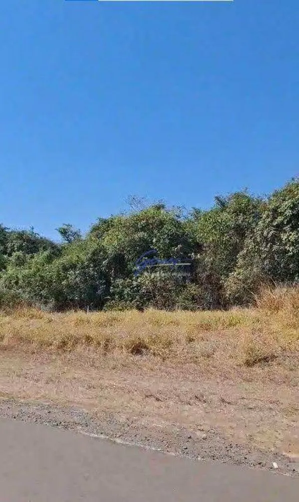 Fazenda, 1186 hectares - Foto 6