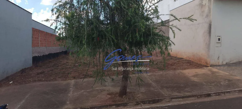 Terreno, 250 m² - Foto 2