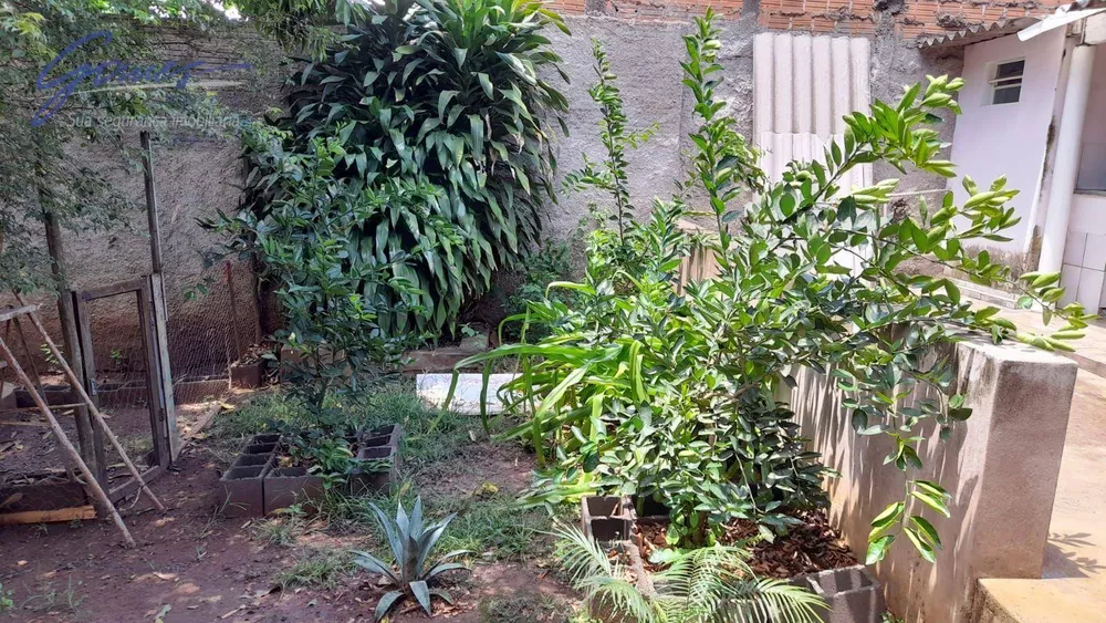 Chácara, 3 quartos, 1000 m² - Foto 12