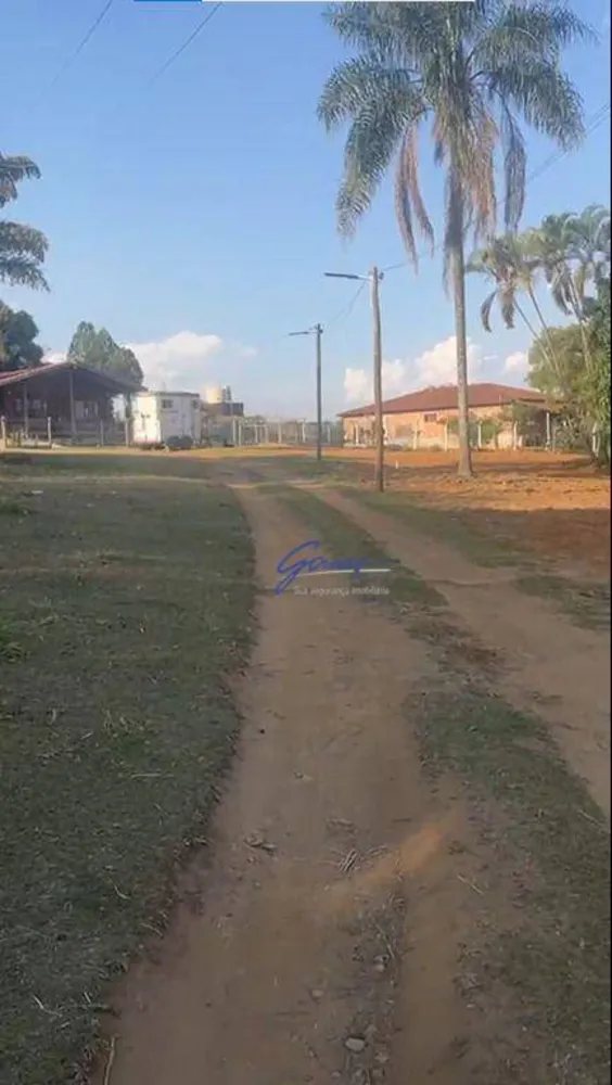 Chácara, 3 quartos, 5000 m² - Foto 4