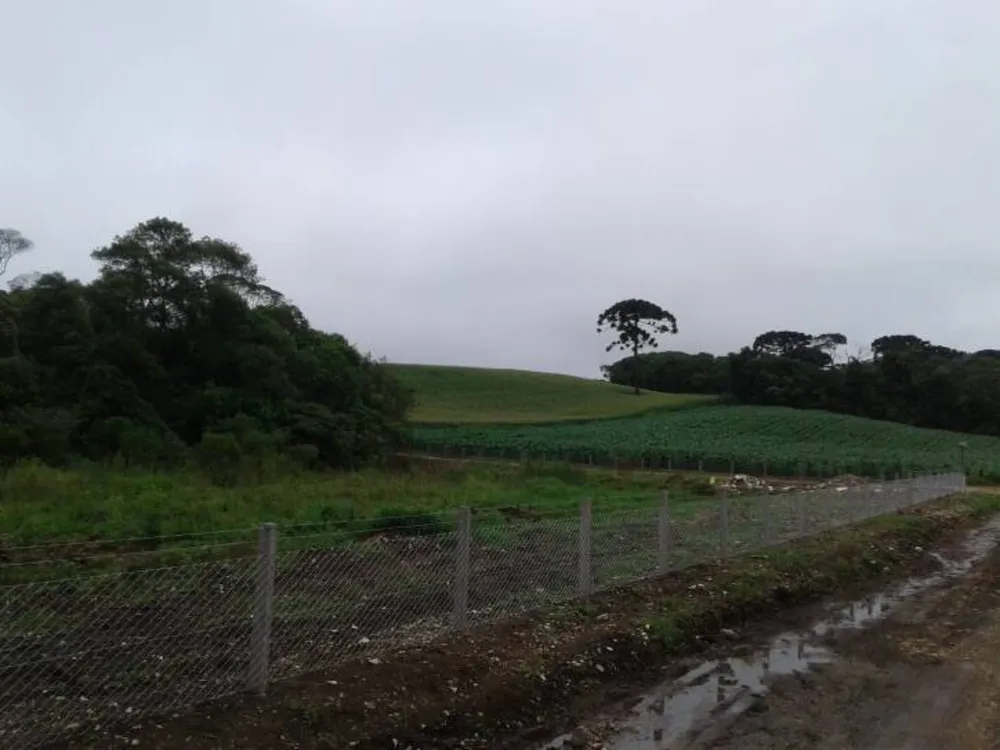 Terreno, 3000 m² - Foto 9