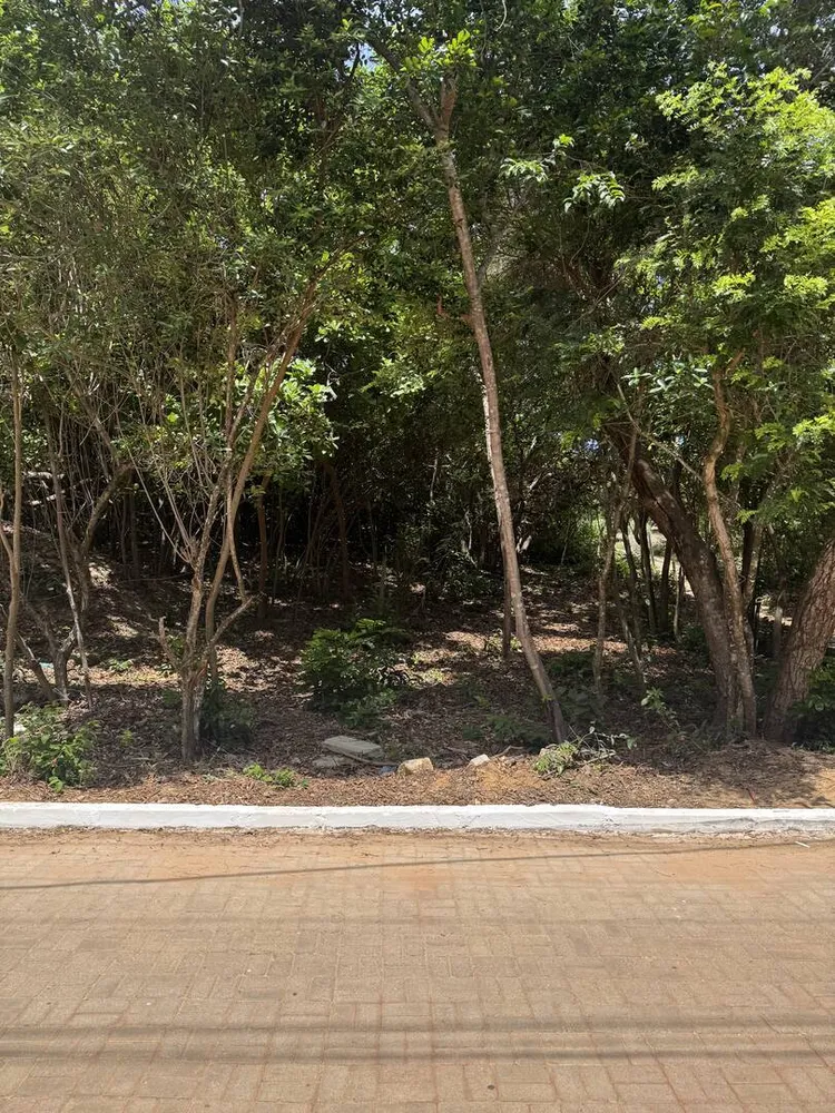 Terreno, 300 m² - Foto 2