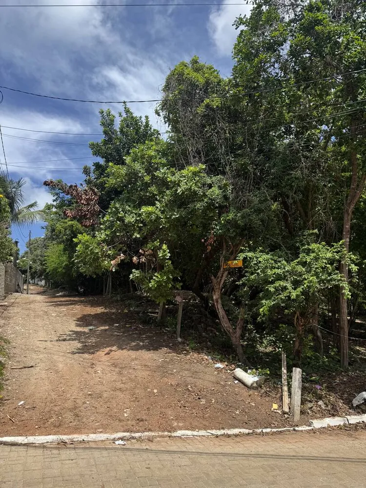 Terreno, 300 m² - Foto 3