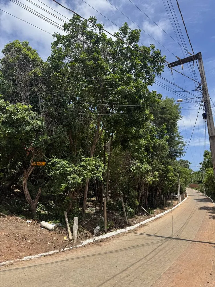 Terreno, 300 m² - Foto 7