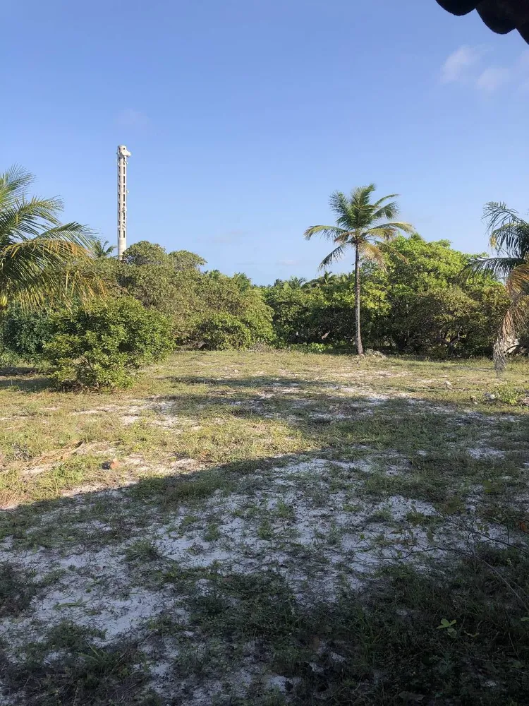 Terreno, 2 hectares - Foto 14