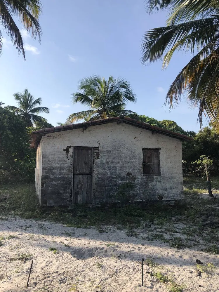 Terreno, 2 hectares - Foto 4