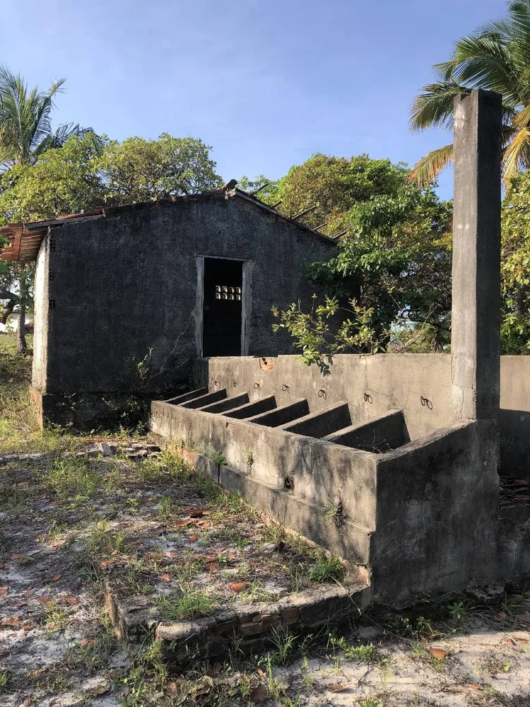 Terreno, 2 hectares - Foto 11