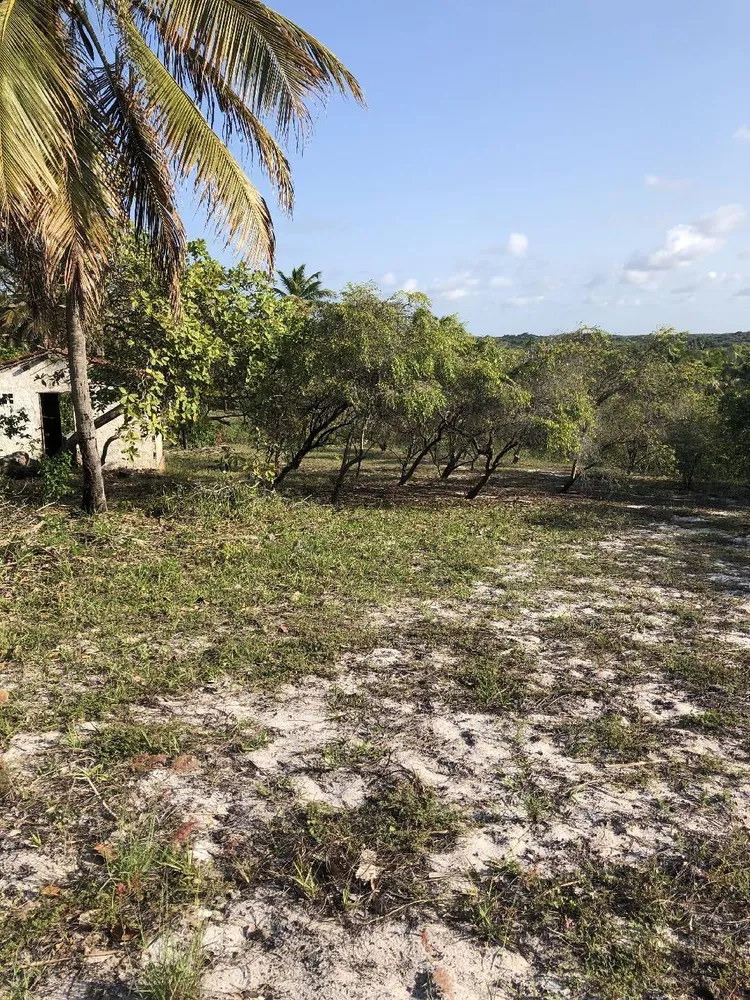 Terreno, 2 hectares - Foto 13