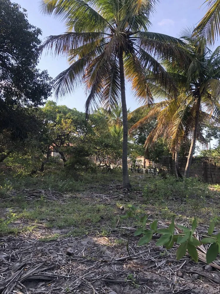 Terreno, 2 hectares - Foto 9
