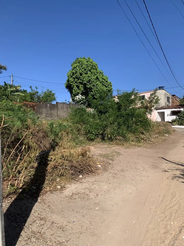 Terreno, 525 m² - Foto 5