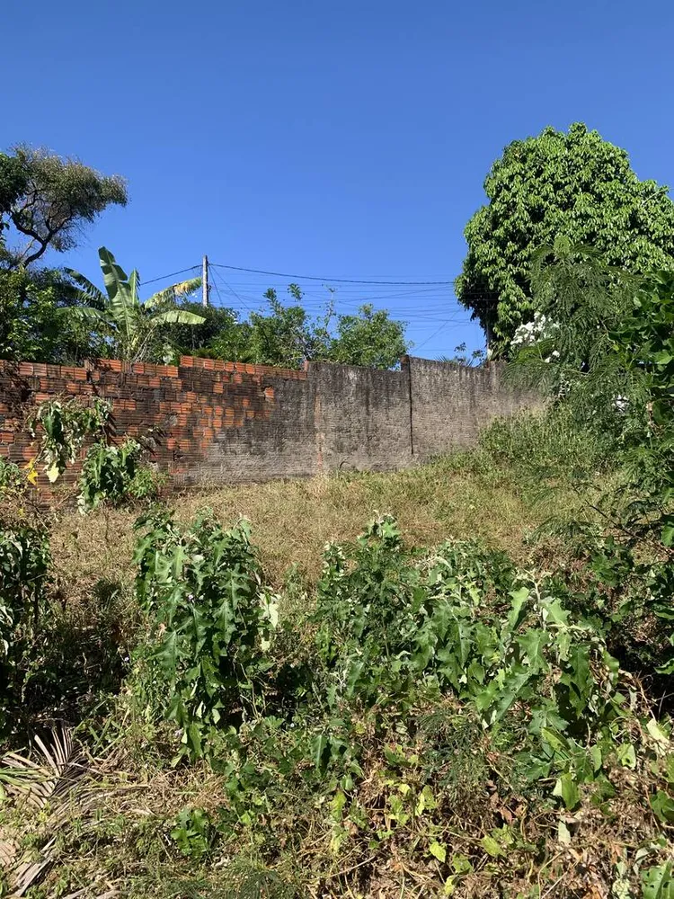 Terreno, 525 m² - Foto 6