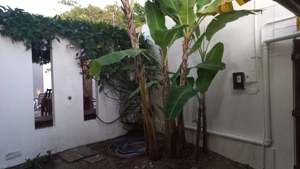 Apartamento, 2 quartos, 57 m² - Foto 10