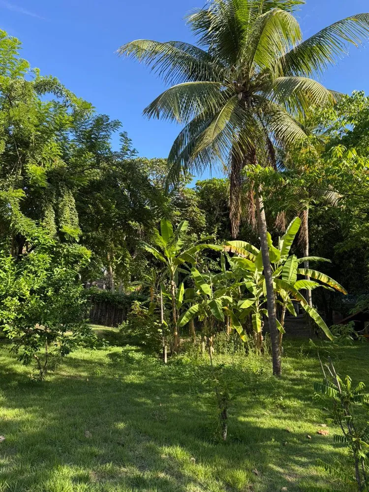 Casa, 5 quartos, 430 m² - Foto 9