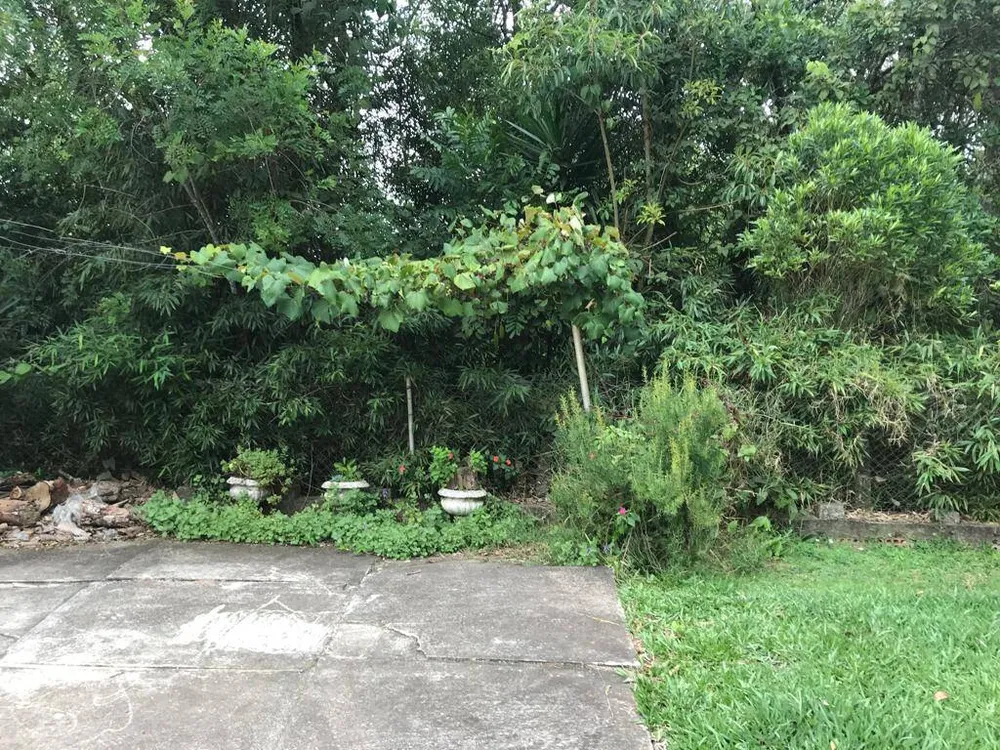 Terreno, 2 hectares - Foto 11