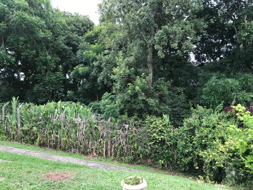 Terreno, 2 hectares - Foto 10