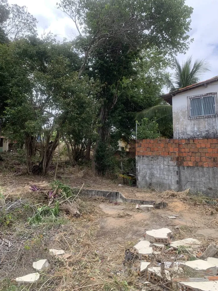 Terreno, 3884 m² - Foto 4