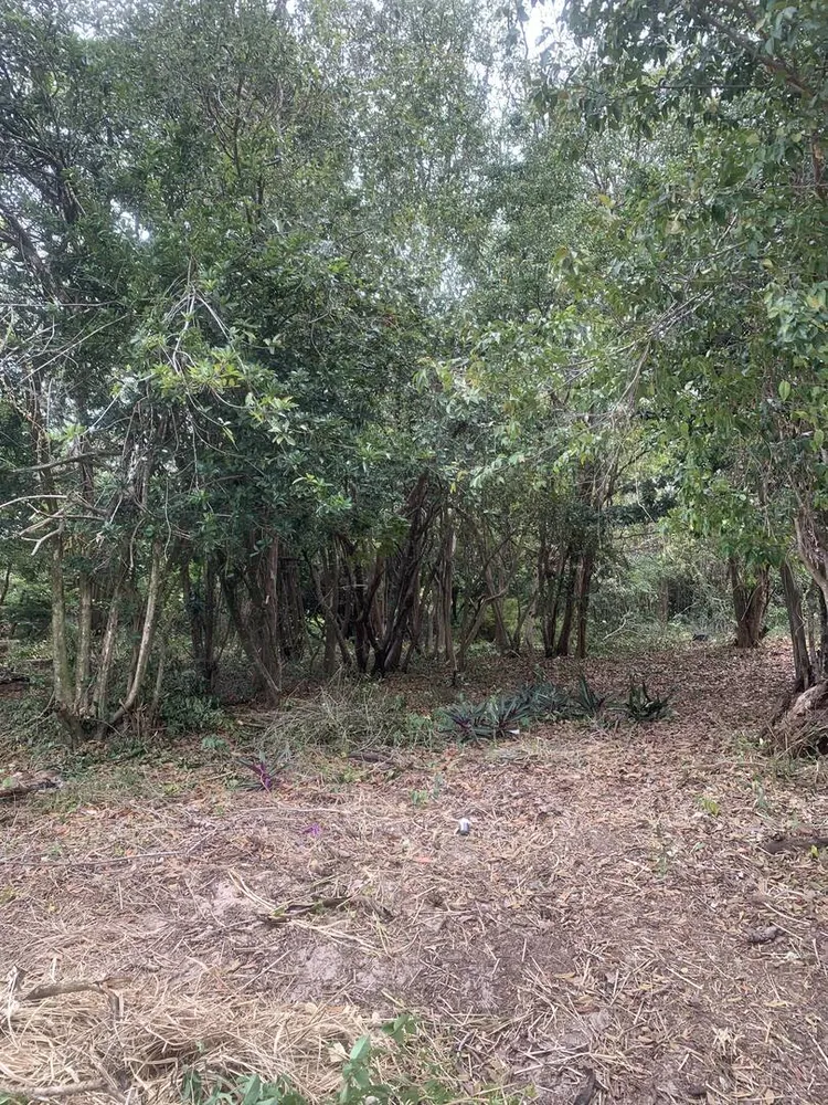 Terreno, 3884 m² - Foto 7