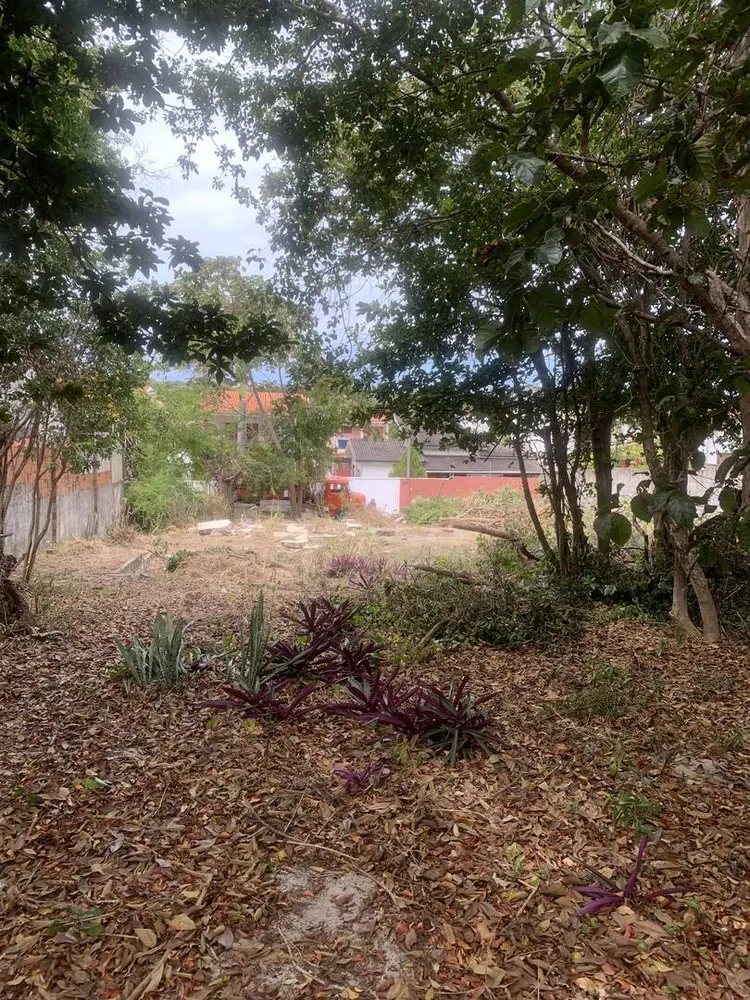Terreno, 3884 m² - Foto 2