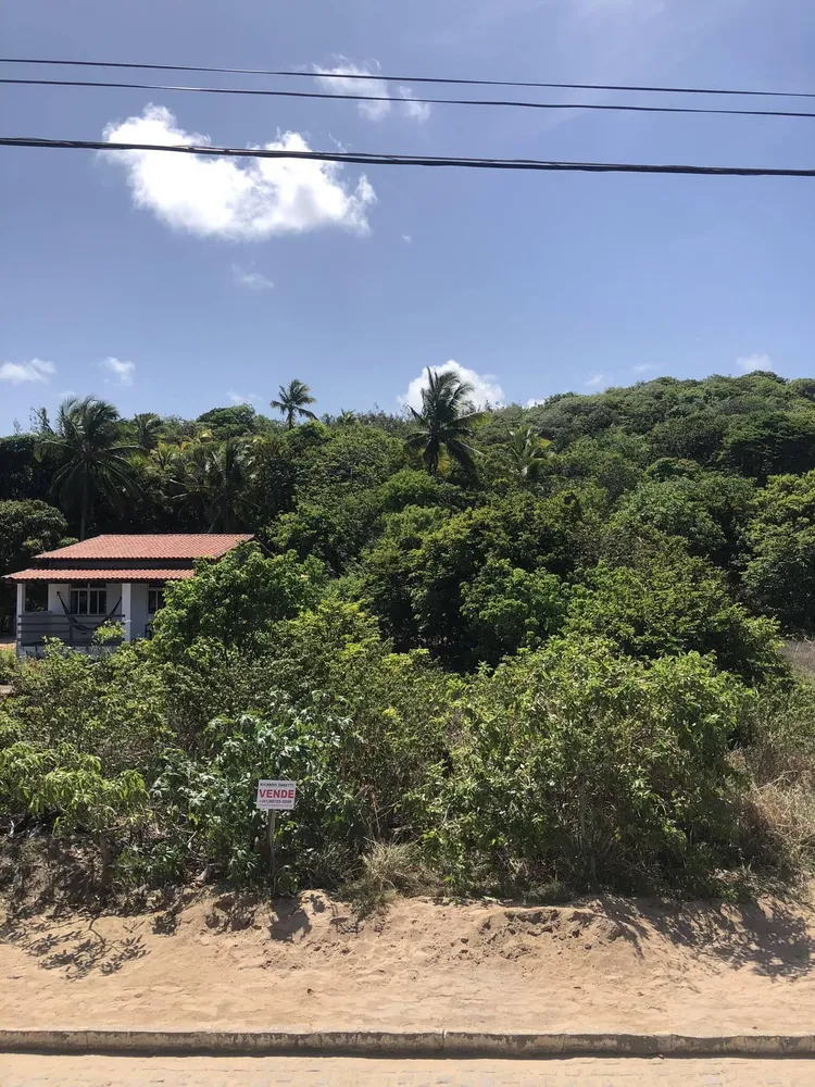 Terreno, 7000 m² - Foto 12