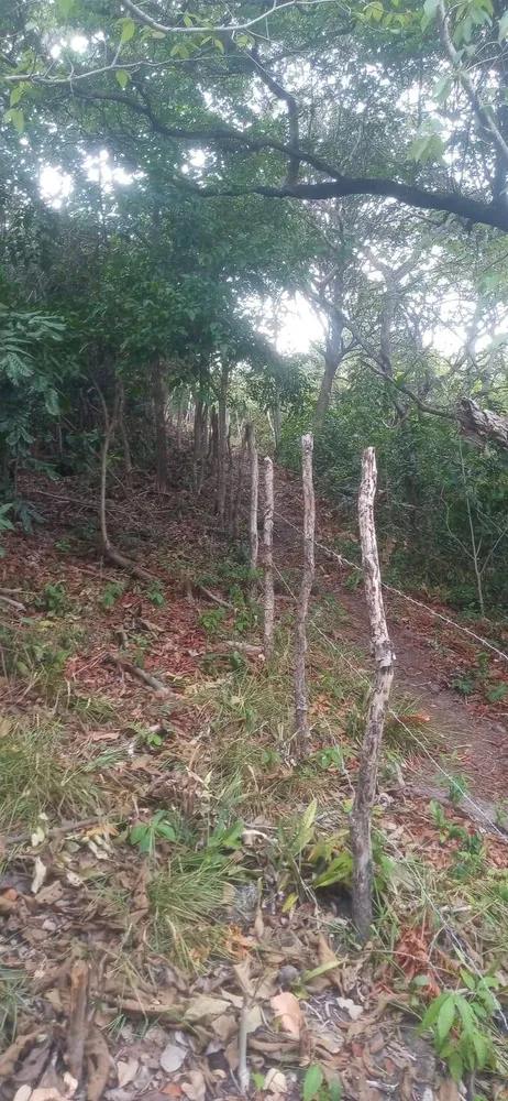Terreno, 7000 m² - Foto 16